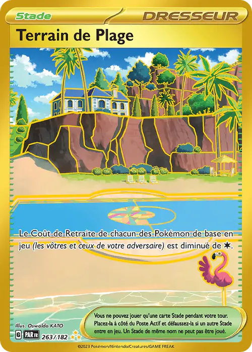 Terrain de plage
